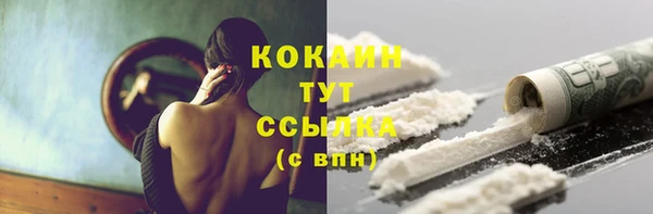 дживик Абинск