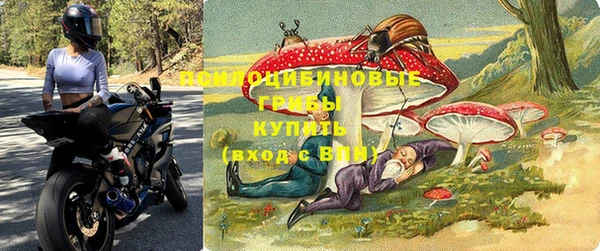 дживик Абинск